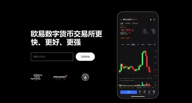 OE官方app下载安装页面展示